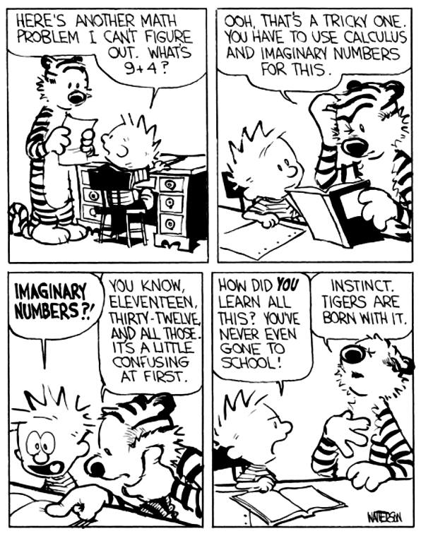 Calvin & Hobbes