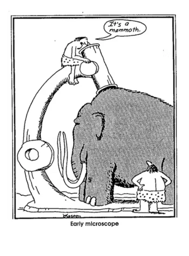 Far Side Mammoth